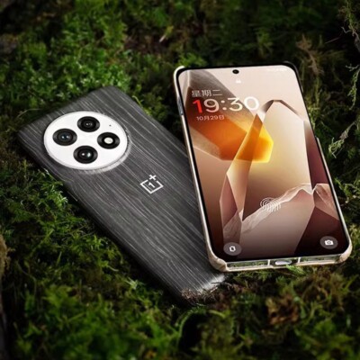 Original OnePlus 13 Carbon Bumper Wood Karbon Sandstone Phone Back Case Cover