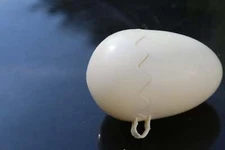 1987 Vintage Fisher Price - Grade A Eggs Empty remplacement eggshell