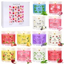Scented Candles for Home, 12 Pack Candle Set for Women, Small Soy Candles Bul...