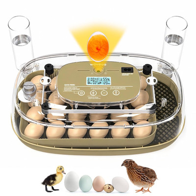 24 Incubators for Hatching Eggs, Egg Incubator with Humidity Control & Digital T