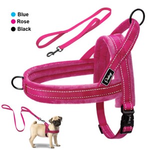 no pull front harness