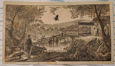 1884 Shoo Fly Trade Card  Advertising The Sexual System & Its Derangements Book
