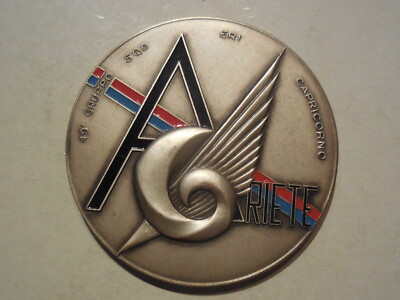 Luftfahrtmedaille 49 Gruppengeschwader Steinbock Widder 80 mm