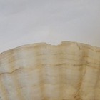 Bild 12 von 13