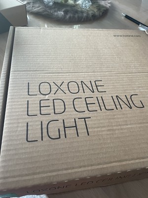 Loxone led ceiling light 