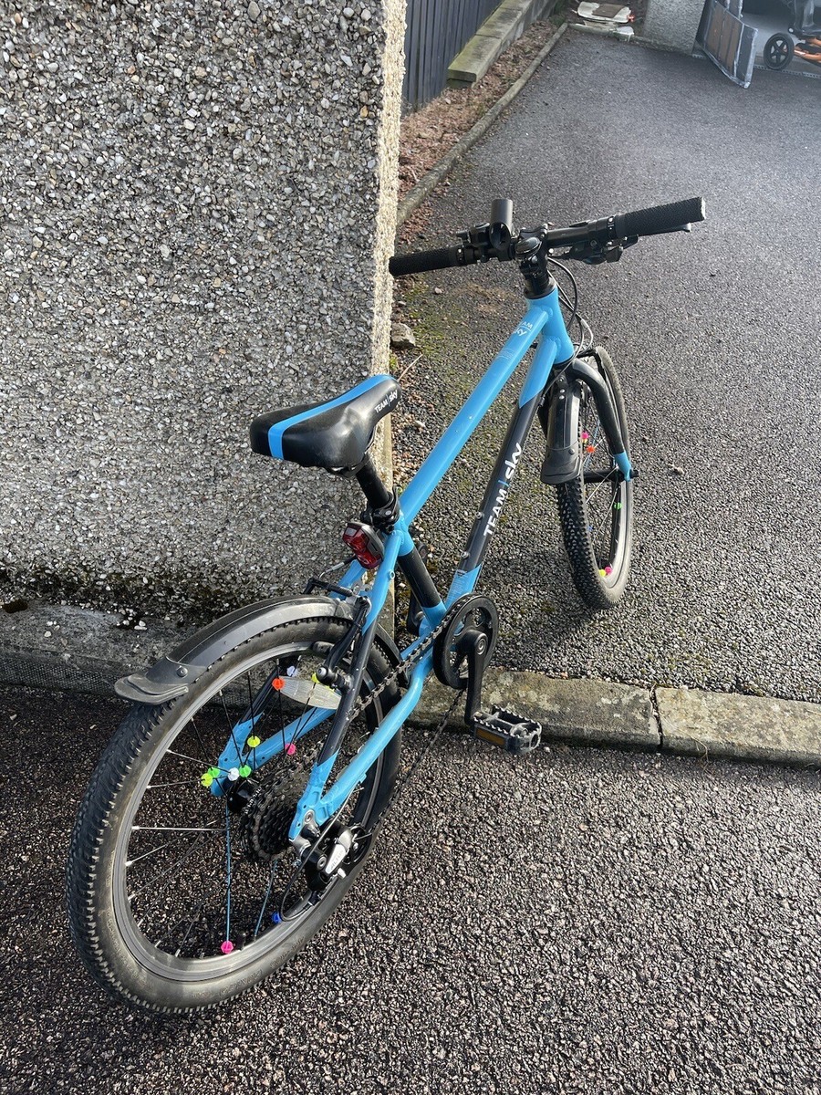 Frog 55 20 inch cheap bike