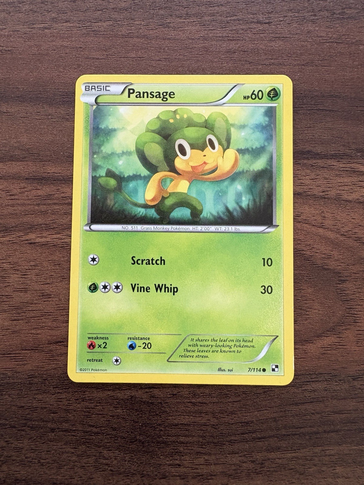 Pansage 7/114 Pokemon Black & White Common English NM