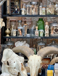 Huge HAUNTED Estate Liquidation Hoarder Collection Paranormal Mystery Item Rare
