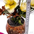Bild 19 von 20