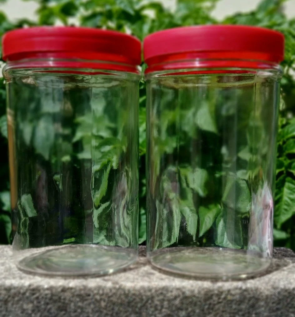 2 Large Borgonovo glass Ortes jars with red lids.