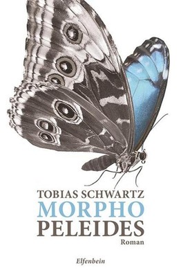 Morpho peleides Tobias Schwartz