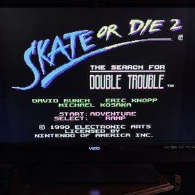 Skate or Die 2 The Search For Double Trouble Nintendo NES Cleaned Tested Working