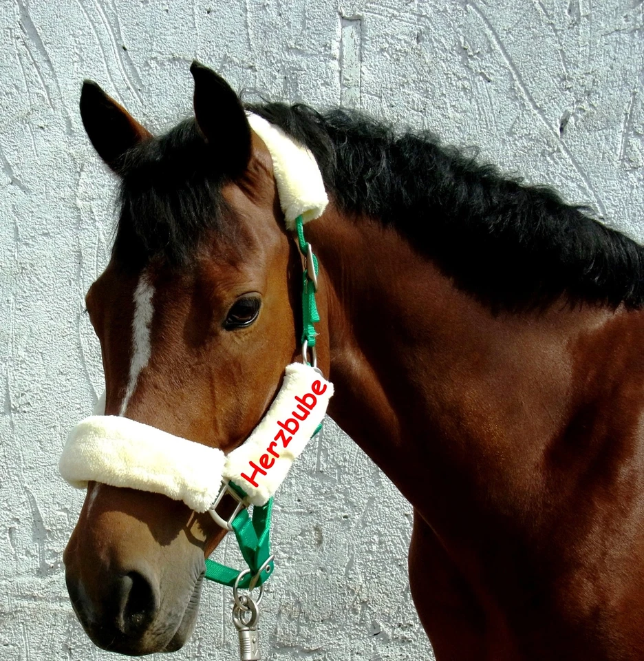 Halfter Plüschi mit Namen für Pony VB/COB oder WB/Full - Bild 4 von 4
