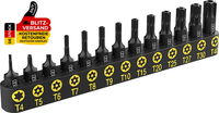 Lexivon Torx Bit Set 13-Teiliges T4, T5, T6, T7, T8, T9, T10, T15, T20, T25, T27