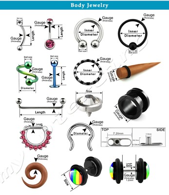 Horseshoe Septum Ring Barbell Septum Ring Tragus Earring Horseshoe Septum Ring Barbell Septum Ring Tragus Earring