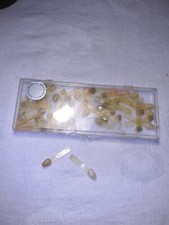 Vintage Dentamerica Creepy Teeth in Box Color Test Numbered