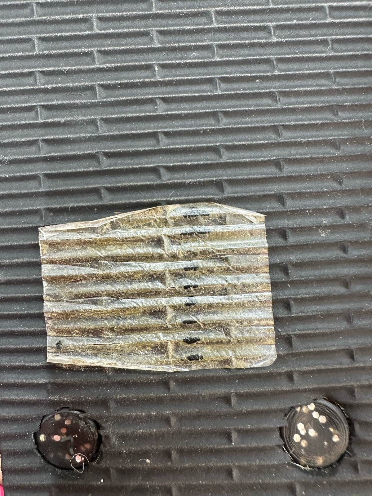 Picture 6 of 8