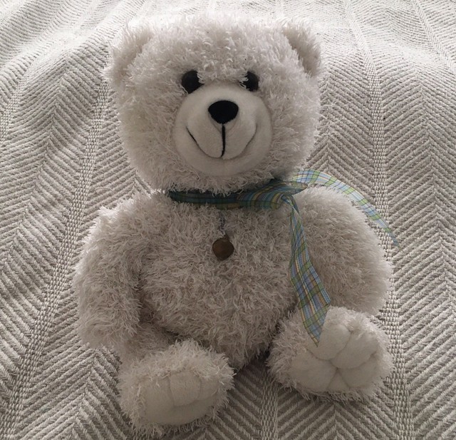 teddy bear with zipper compartment