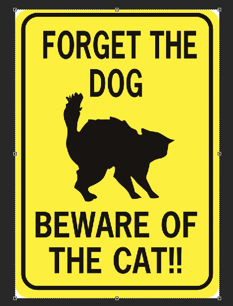 QYAYIK Panneau « Beware Of Dog » - Beware Of The Dog The Cat Is Shady Too - Panneau D'avertissement Amusant Pour Chien - Panneau D'avertissement Pour Chien - Décoration Extérieure