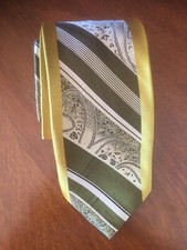 Steven Land Geometric Green Striped Paisley Multicolor Pattern Men's Tie.