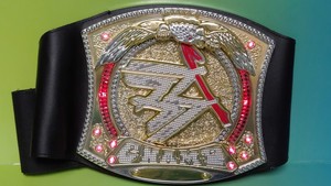 wwe championship spinner belt toy
