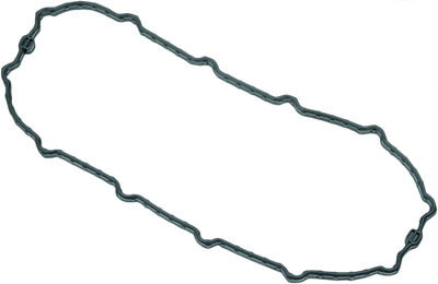 HARDDRIVE Fuel Pump Door Gaskets 22255