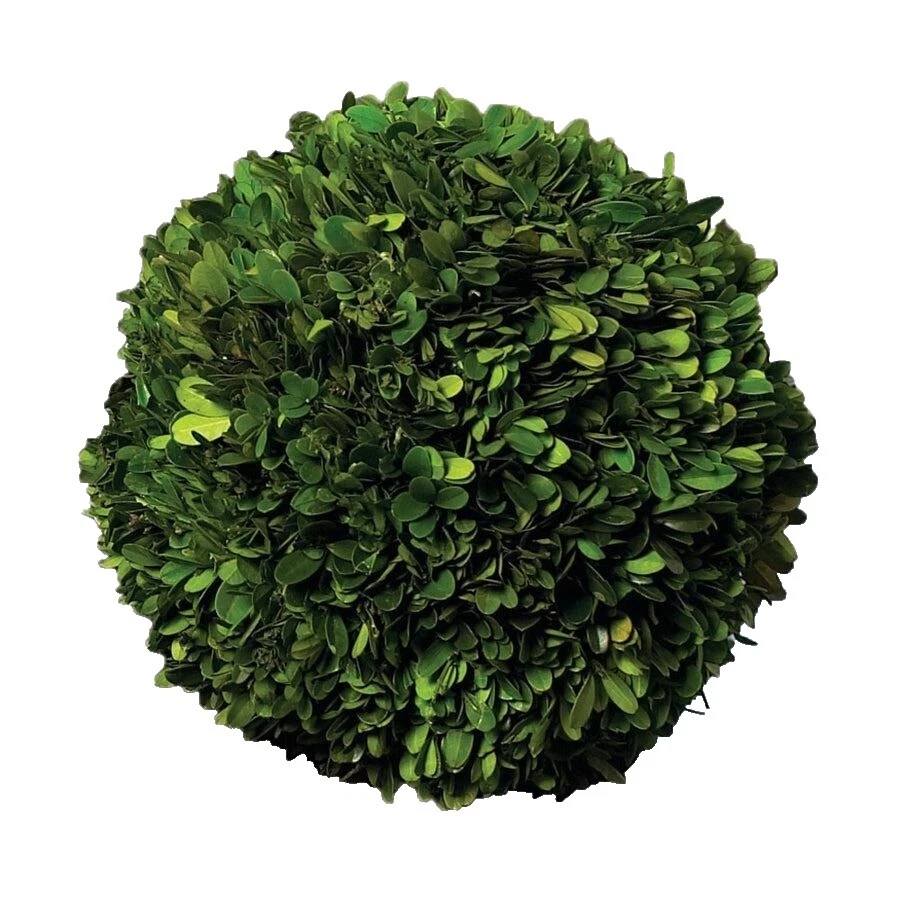 Materiales mixtos Hierba, esterillas y musgo decoración floral