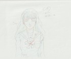 The Twelve Kingdoms Juuni Kokki Genga Douga Original Sketches Pierrot - Youko — photo 2