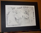 Foto 2 di 6