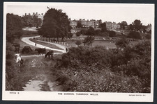 Postcard Tunbridge Wells Kent cattle on The Common early RP by Pelton