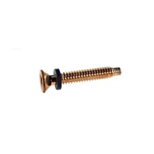 Pentair Pool Light Replacement Brass Pilot Screw w/Captive Gum Washer 791048000