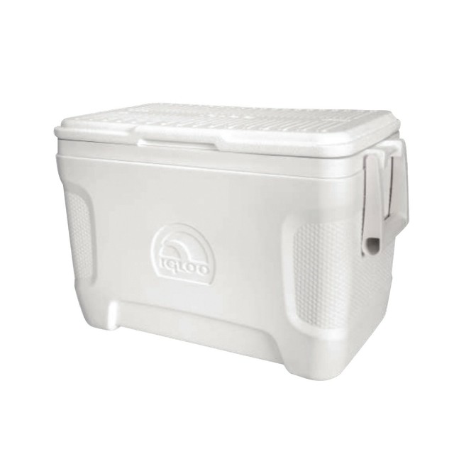 igloo split lid cooler