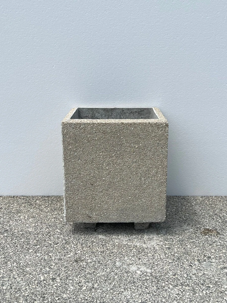 Piante da appartamento resistenti - piante appartamento - Piante