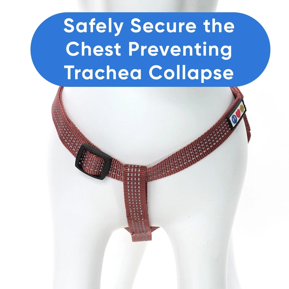Dog Harness Medium Sized Dog Marsala Brown Dog Harness Step in from a Senior ... Dog Harness Medium Sized Dog Marsala Brown Dog Harness Step in from a Senior ...