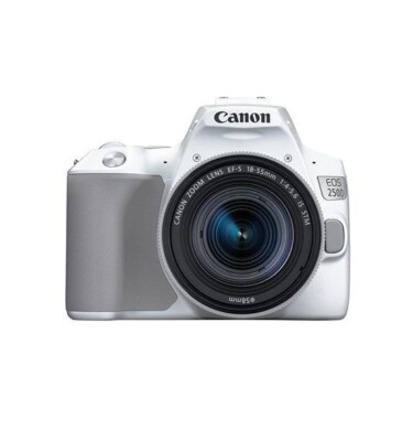 Canon EOS 250D Digitale Spiegelreflexkamera mit 18-55mm IS STM Objektiv - Weiß