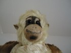 Bild 9 von 11