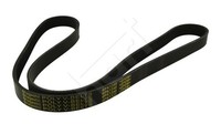 Hart 368 931 Keilrippenriemen FüR Audi Chrysler CitroËN Dodge Ford Mazda