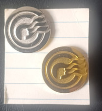 Princess Cruise Lines Captain's Circle  Travel pins Gold and Silver
