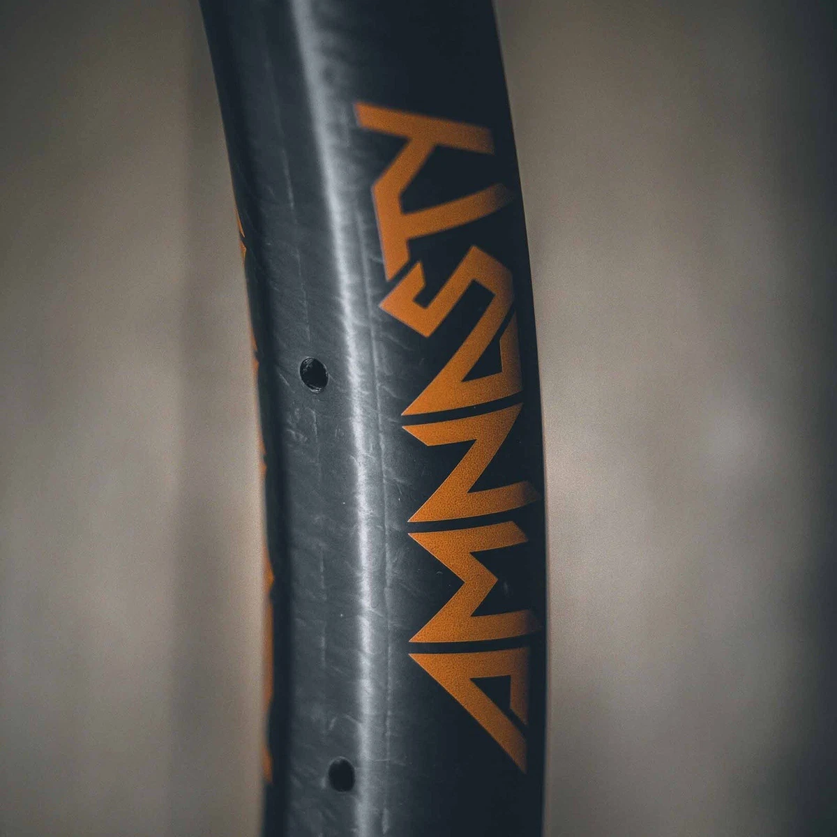 Amnasty Bike Co Cerchio in Fibra di Carbonio MTB Enduro E bike EBike 29er 32h
