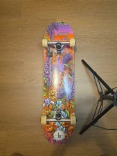 Braille 2Pcs Skateboarding Pro Complete Skateboard, Multicolor - 31 In. x 7.75