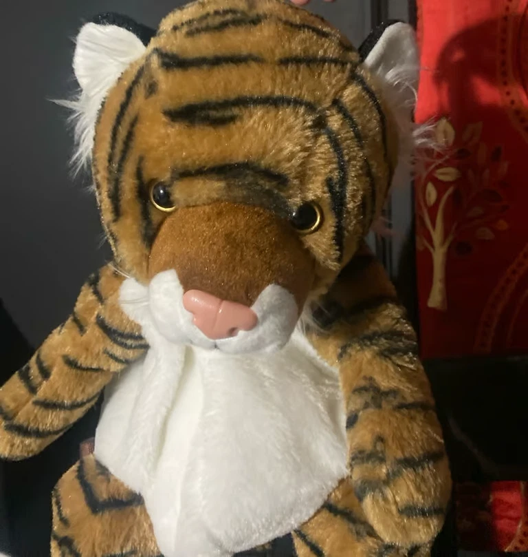 tiger backpack plush with small pocket . good condition . never worn out .  - Image 3 of 3