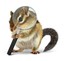agent_chipmunk