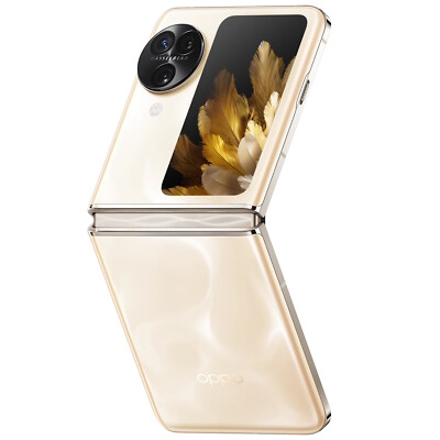 Oppo Find N3 Flip CPH2519 256GB 12GB RAM (Factory Unlocked