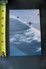 Randy Wright Photography Venice Pier Jaime Perez Dogtown Vintage Surfing PHOTO