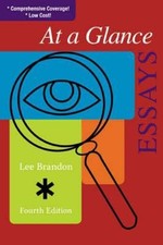 At a Glance : Essays Paperback Lee Brandon