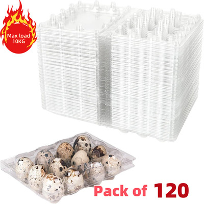 120x Wachteleierverpackung Bruteier Schachtel Eier Wachtel Verpackung - NEU