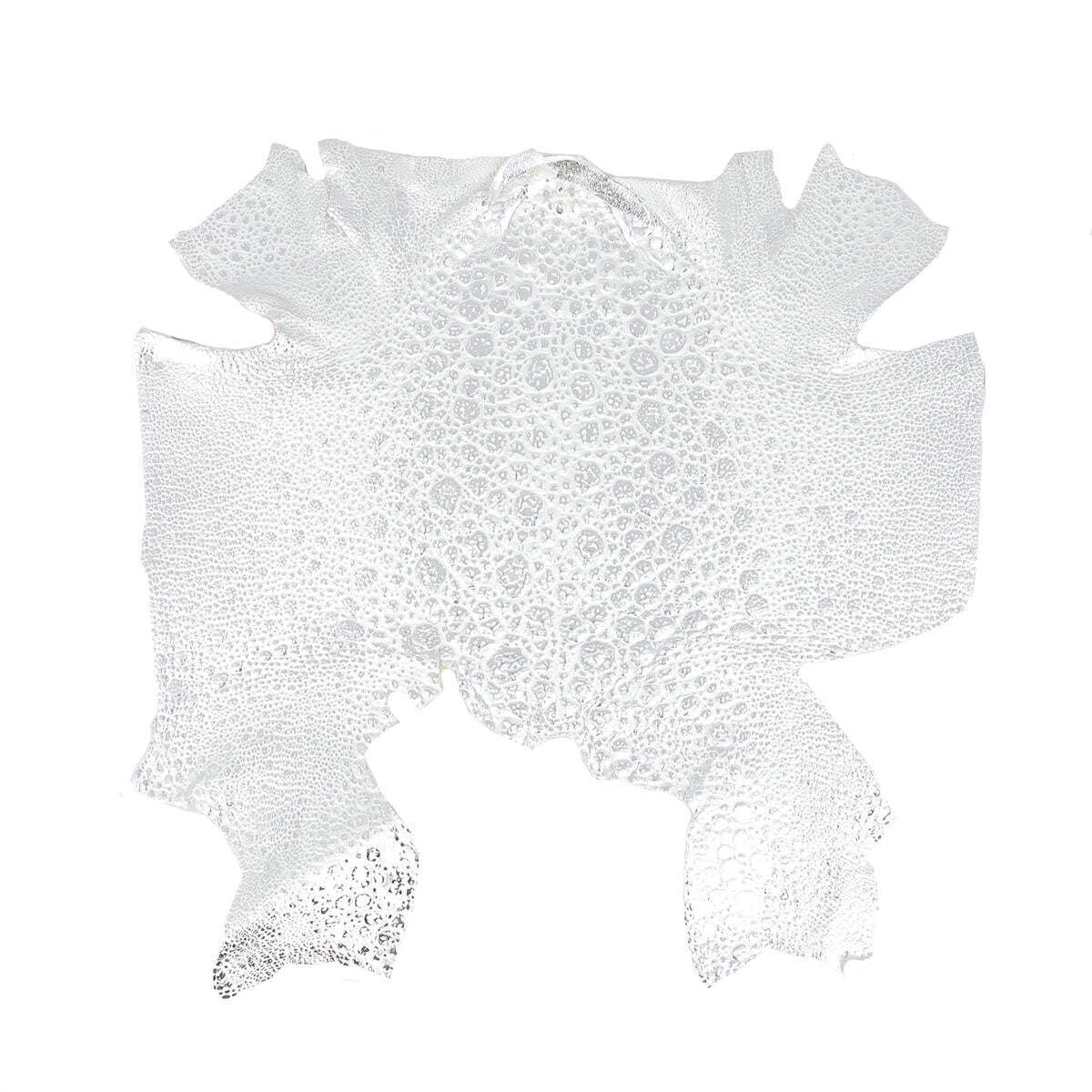 Peau de cuir de crapaud véritable coloris blanc & argent référence P81