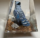 Picture 4 of 12