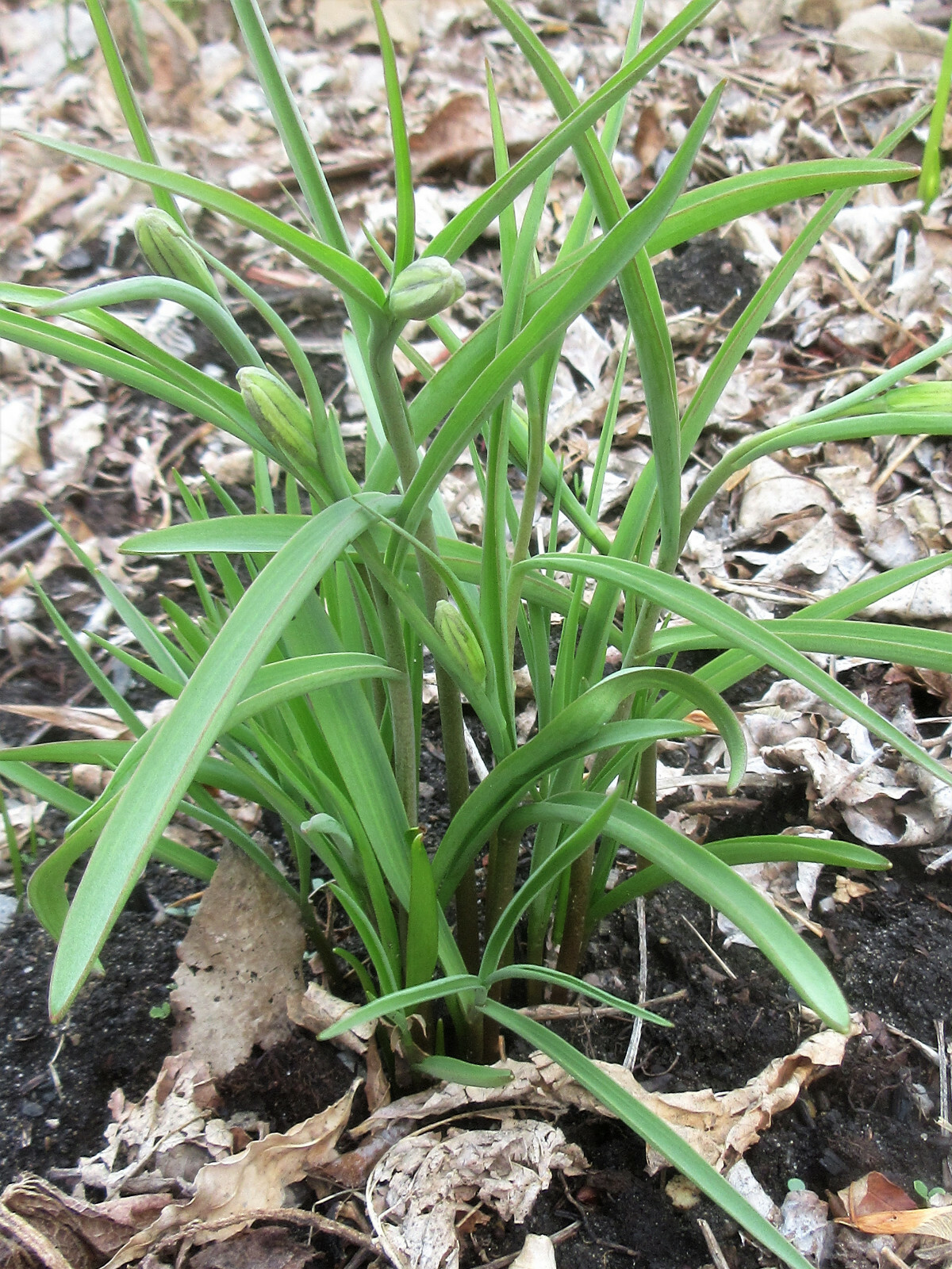 Picture 12 of 12