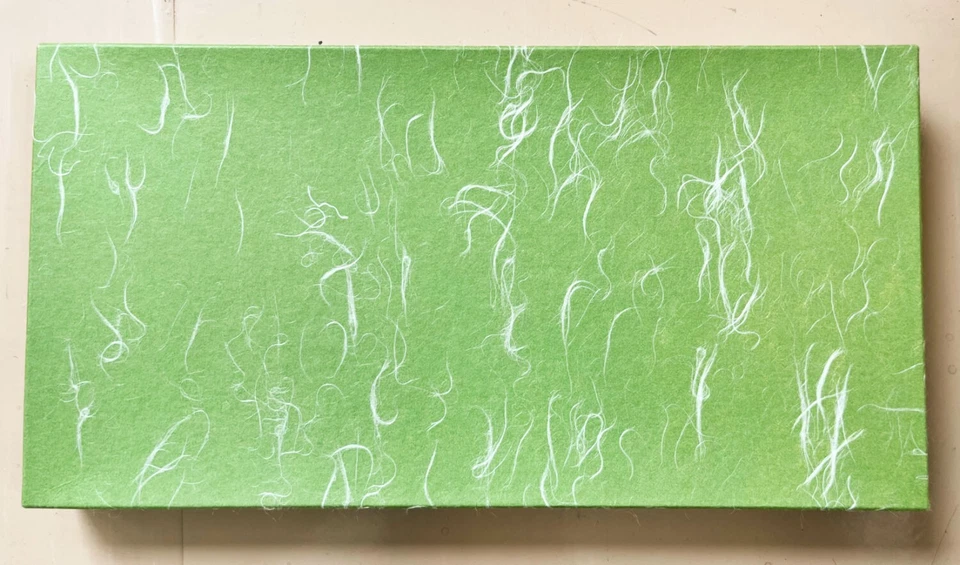 Plato y bandeja de laca japonesa que nunca se ha usado Foto 2 de 4